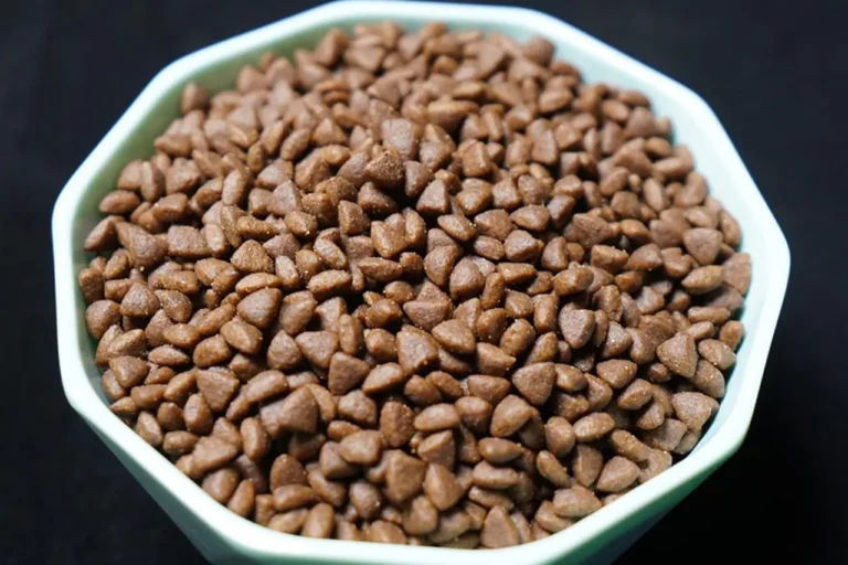 Jaka karma dla psa z alergią? Sprawdzone rozwiązania