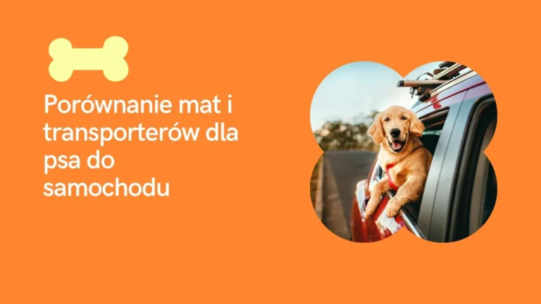 Porównanie mat i transporterów dla psa do samochodu